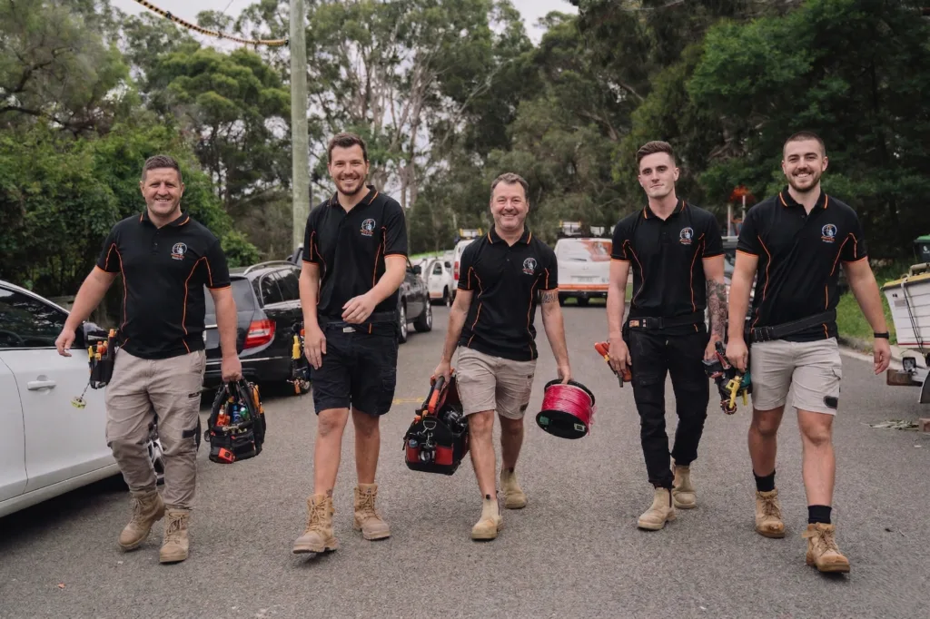 Professional electrical services in Milsons Point